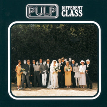 DIFFERENT CLASS | VINYL RECORD (LP)