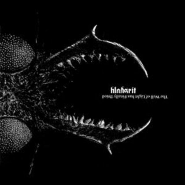 BLODSRIT | WELL OF LIGHT HAS FINALLY DRIED | VINYL RECORD (LP)