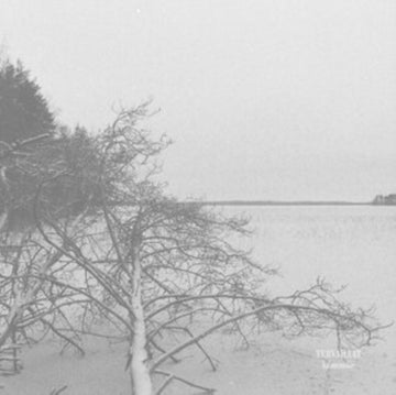 KALMONSÄIE | VINYL RECORD (LP)