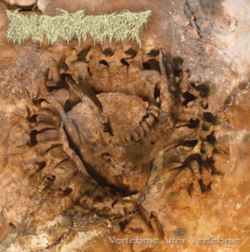 VERTEBRAE AFTER VERTEBRAE | VINYL RECORD (LP)