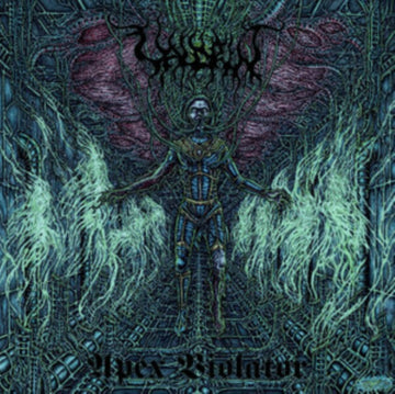 APEX VIOLATOR (COLOURED VINYL) | VINYL RECORD (LP)