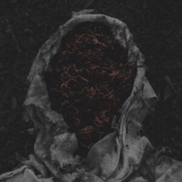 STILLAMENTUM | VINYL RECORD (LP)