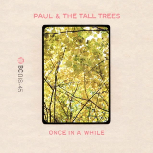 PAUL & THE TALL TREES | LITTLE BIT OF SUNSHINE | VINYL RECORD (LP)