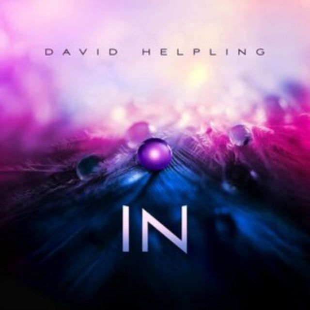 HELPLING, DAVID | IN (2LP) | VINYL RECORD (LP)