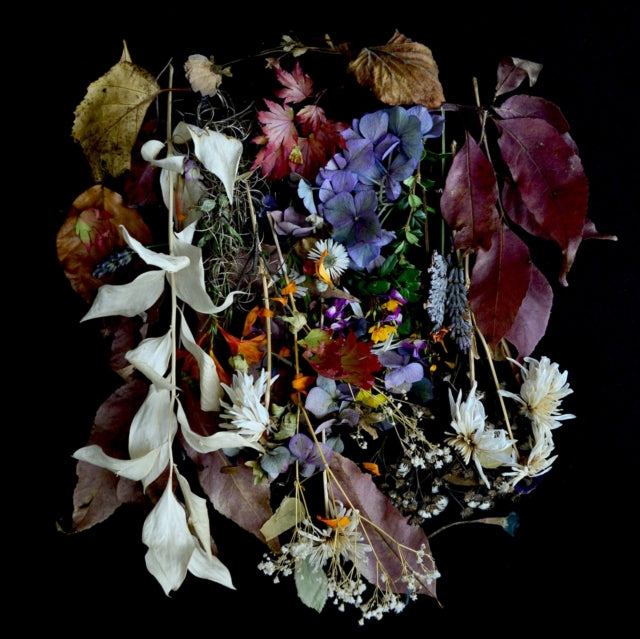PAWS | YOUR CHURCH ON MY BONFIRE | VINYL RECORD (LP)