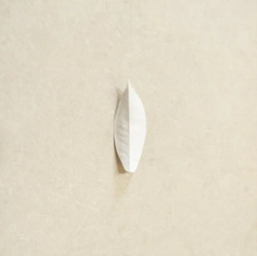 COMPLEXITY OF THE SIMPLE | VINYL RECORD (LP)
