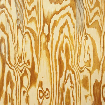WOODEN AQUARIUM | VINYL RECORD (LP)