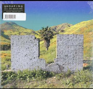ALL OR NOTHING | VINYL RECORD (LP)