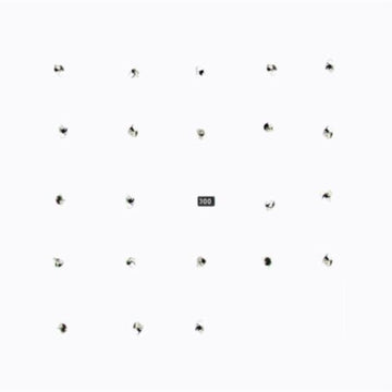 SPLIT SERIES #22 | VINYL RECORD (LP)