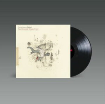 FRIGHTENED RABBIT | MIDNIGHT ORGAN FIGHT | VINYL RECORD (LP)