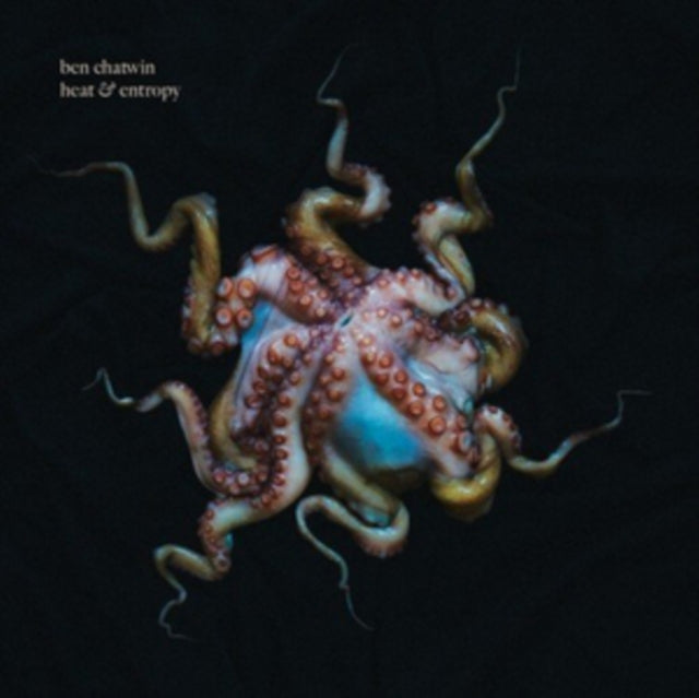 CHATWIN, BEN | HEAT & ENTROPY | VINYL RECORD (LP)