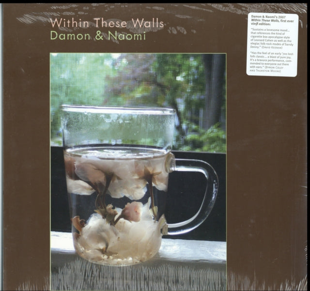 DAMON & NAOMI | WITHIN THESE WALLS | VINYL RECORD (LP)