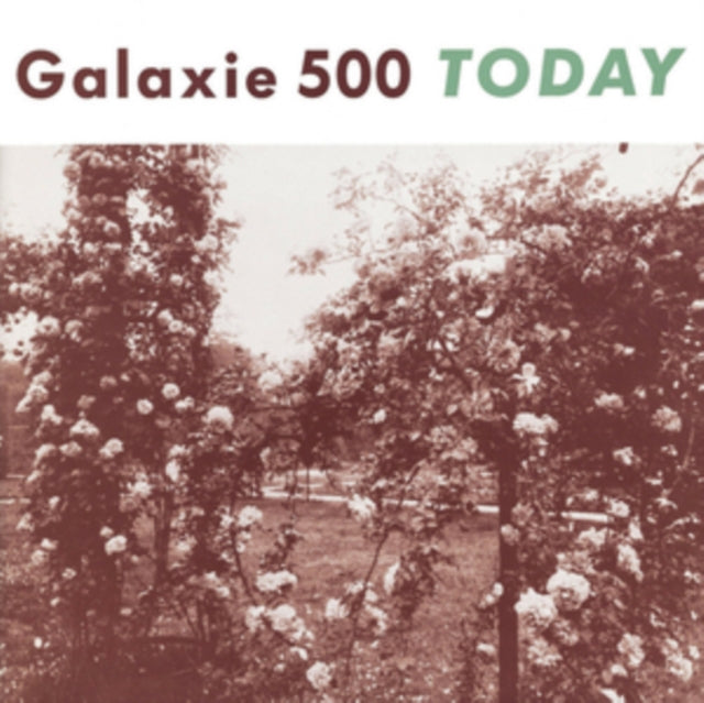 GALAXIE 500 | TODAY | VINYL RECORD (LP)