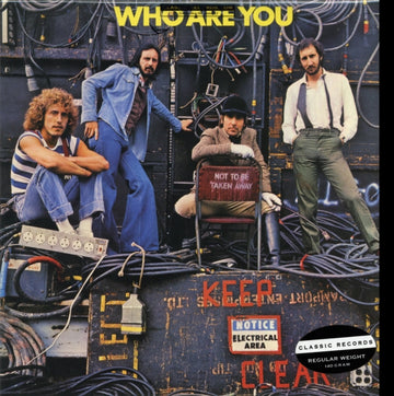 WHO ARE YOU (150G) | VINYL RECORD (LP)