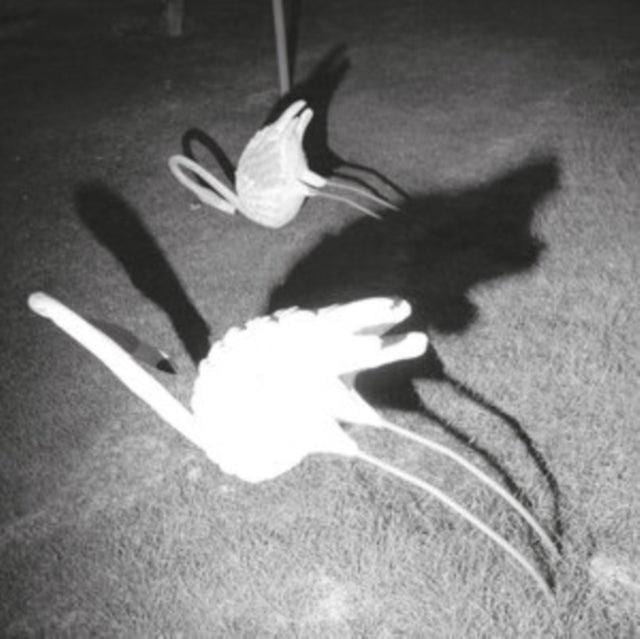 AMINI, SIAVASH | MIMESIS OF NOTHINGNESS | VINYL RECORD (LP)