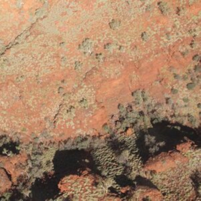 ENGLISH, LAWRENCE & WERNER DAFELDECKER | TROPIC OF CAPRICORN | VINYL RECORD (LP)