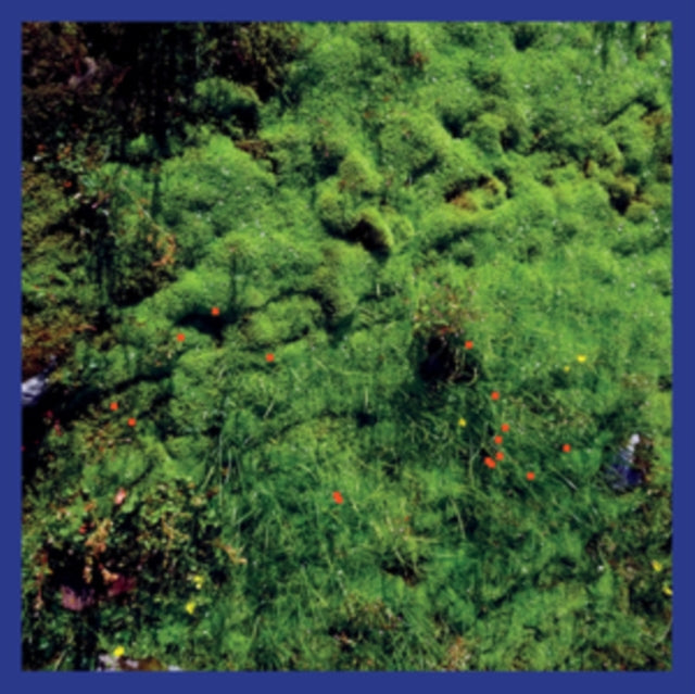 PUECH, MATTHIAS | MT. HADAMARD NATIONAL PARK | VINYL RECORD (LP)