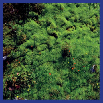 PUECH, MATTHIAS | MT. HADAMARD NATIONAL PARK | VINYL RECORD (LP)