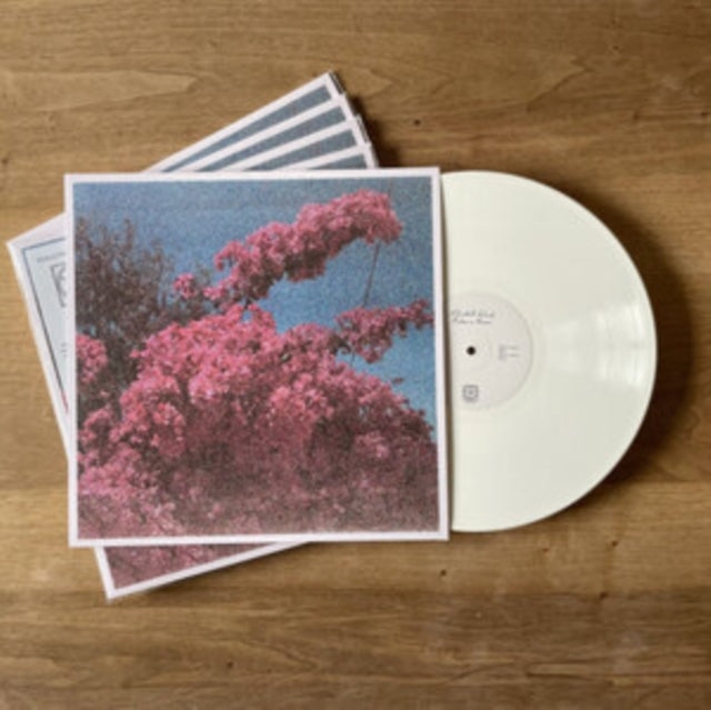 KLINCK, ELISABETH | PICTURE A FRAME | VINYL RECORD (LP)