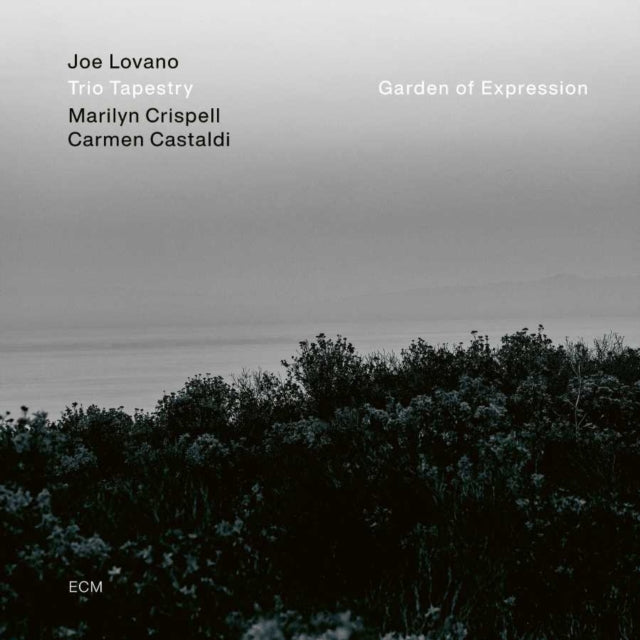 LOVANO, JOE; MARILYN CRISPELL; CARMEN CASTALDI | GARDEN OF EXPRESSION | VINYL RECORD (LP)