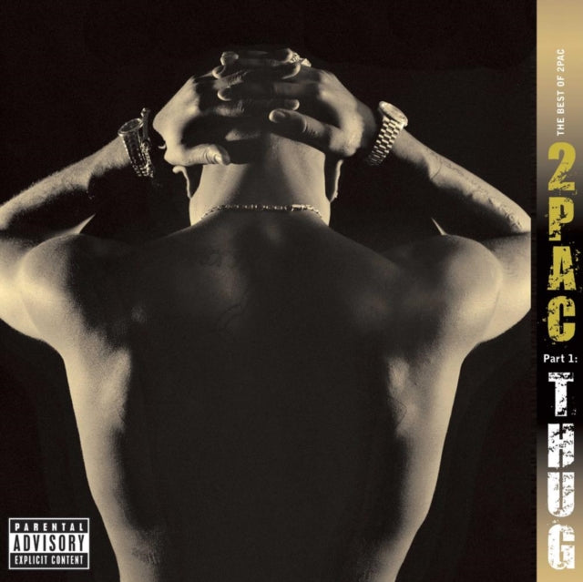 2PAC | BEST OF 2PAC - PART 1: THUG (2LP) | VINYL RECORD (LP)