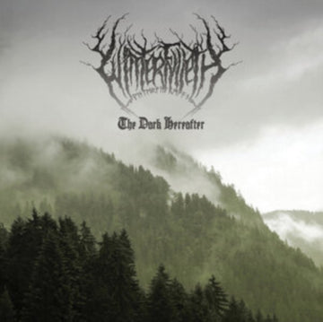 DARK HEREAFTER (GREEN/BLACK & WHITE SWIRL VINYL/IMPORT) | VINYL RECORD (LP)