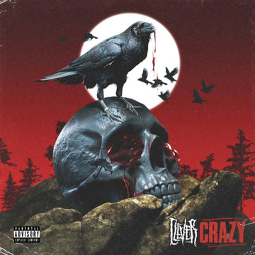 CLEVER | CRAZY | VINYL RECORD (LP)