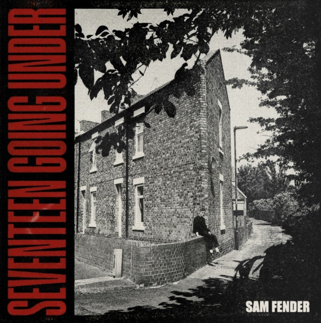 FENDER, SAM | SEVENTEEN GOING UNDER | VINYL RECORD (LP)