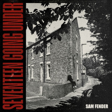 FENDER, SAM | SEVENTEEN GOING UNDER | VINYL RECORD (LP)