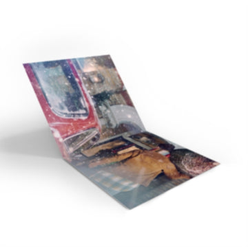 DREAM OF CHRISTMAS | VINYL RECORD (LP)