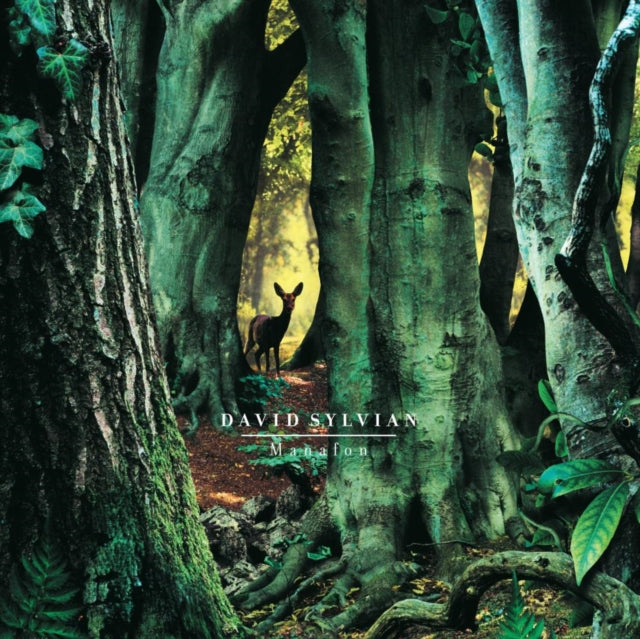 SYLVIAN, DAVID | MANAFON (2LP) | VINYL RECORD (LP)