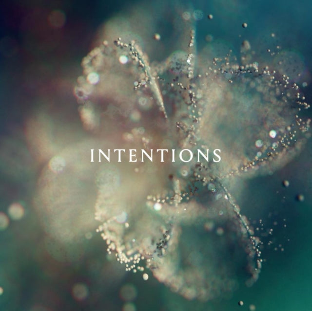 ANNA | INTENTIONS (2LP) | VINYL RECORD (LP)