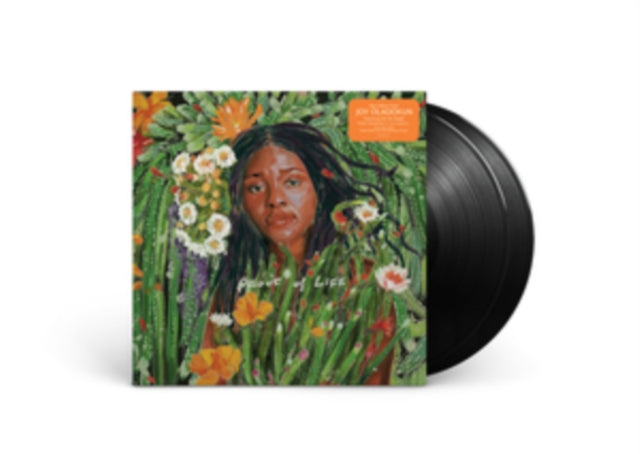 OLADOKUN, JOY | PROOF OF LIFE (2LP) | VINYL RECORD (LP)