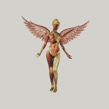 NIRVANA | IN UTERO (30TH ANNIVERSARY) (8LP) | VINYL RECORD (LP)