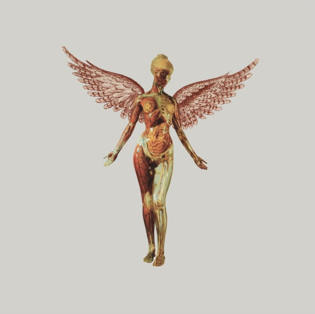 NIRVANA | IN UTERO (30TH ANNIVERSARY) (5CD) | CD