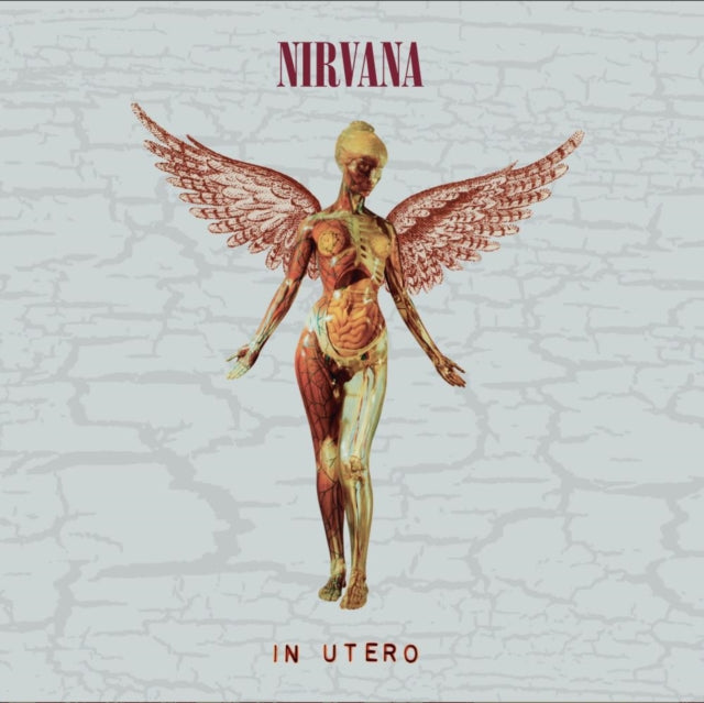 NIRVANA | IN UTERO (30TH ANNIVERSARY) (2CD) | CD