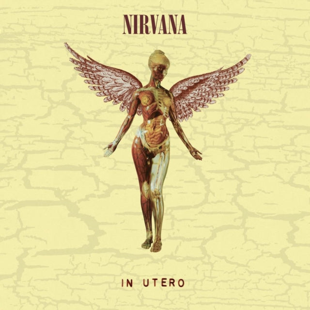 NIRVANA | IN UTERO (30TH ANNIVERSARY) (LP/10 INCH) | VINYL RECORD (LP)