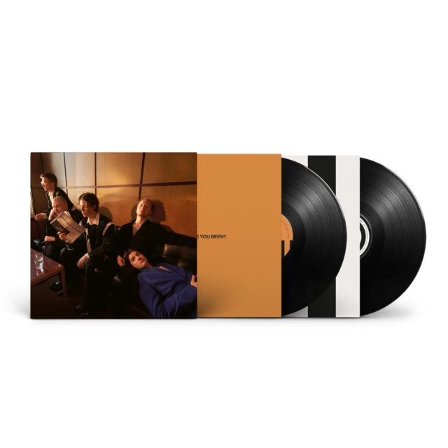 GIANT ROOKS | HOW HAVE YOU BEEN? (2LP/180G) | VINYL RECORD (LP)