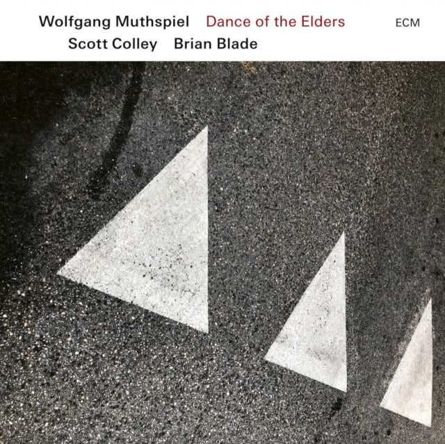 MUTHSPIEL, WOLFGANG; SCOTT COLLEY & BRIAN BLADE | DANCE OF THE ELDERS | VINYL RECORD (LP)