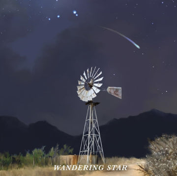 WANDERING STAR (DARK WATER SWIRL VINYL) | VINYL RECORD (LP)