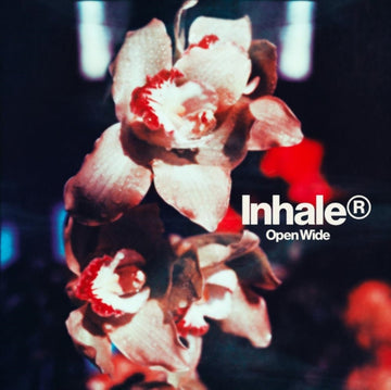 OPEN WIDE | VINYL RECORD (LP)