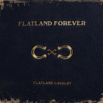 FLATLAND FOREVER (GOLD VINYL/2LP) | VINYL RECORD (LP)
