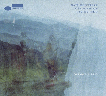 OPENNESS TRIO (180G) | VINYL RECORD (LP)