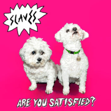 ARE YOU SATISFIED? (2LP) | VINYL RECORD (LP)