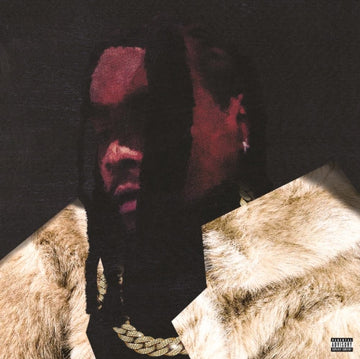EVERYTHING IS A LOT. (X) (2LP) | VINYL RECORD (LP)