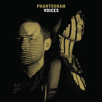 VOICES (GOLD GALAXY VINYL/2LP) | VINYL RECORD (LP)