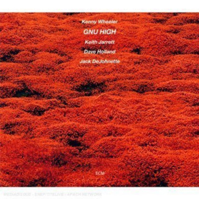 WHEELER / JARRETT / HOLLAND GNU HIGH (CD)
