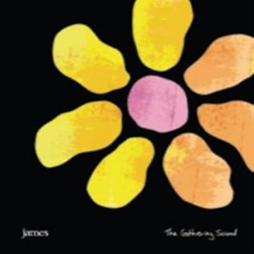 GATHERING SOUND (BOX SET) (LP/3CD/DVD/USB) | VINYL RECORD (LP)