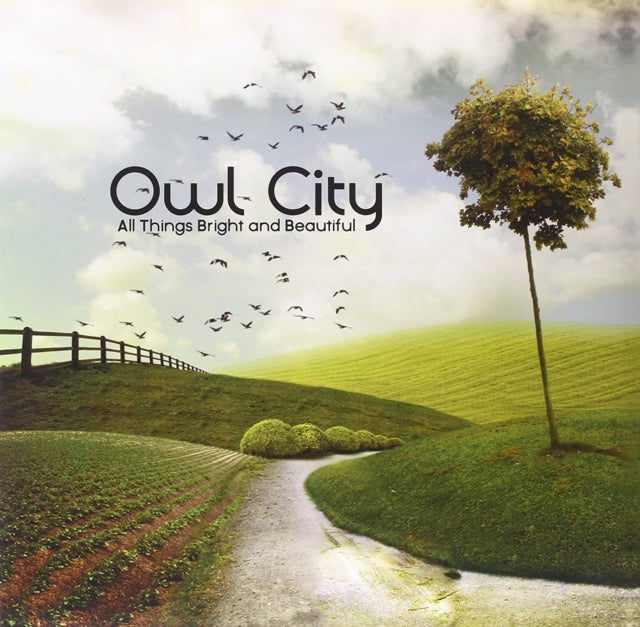 OWL CITY | ALL THINGS BRIGHT & BEAUTIFUL | VINYL RECORD (LP)
