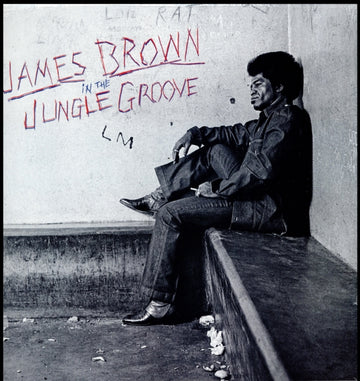 BROWN, JAMES | IN THE JUNGLE GROOVE  | VINYL RECORD (LP)
